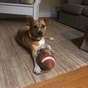 Meet your Posher, Barbara